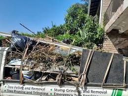Best Attic Cleanout  in French Lick, IN